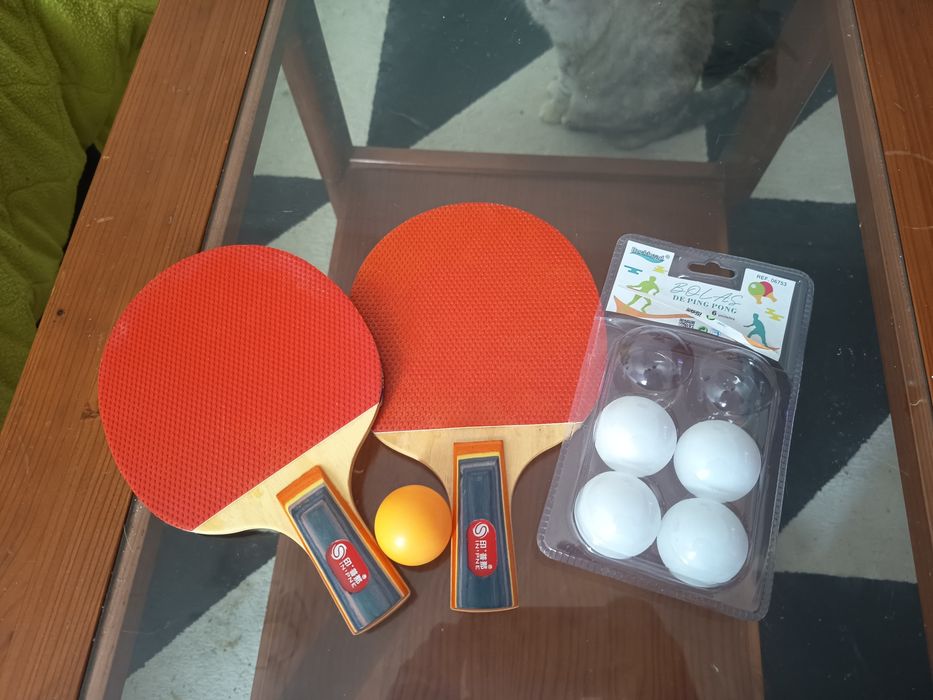 Raquetes de ping-pong