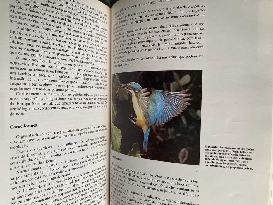 As Aves I, de Fernando Alonso e Josefa Alonso