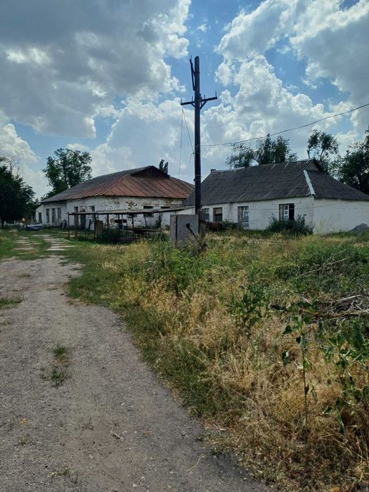 Продается  ферма в с. Гейковка (Кривбас), или обмен на єкскаватор или  автокран или автомобиль