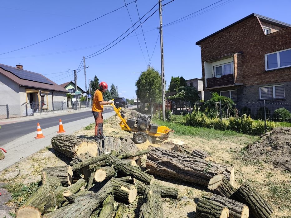 Wycinka drzew, pielęgnacja drzew, zrębkowanie gałęzi, frezowanie pni