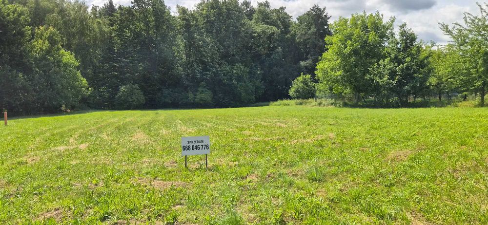 Działka Czechowice-Dziedzice ul. Lipowska - Widok 4