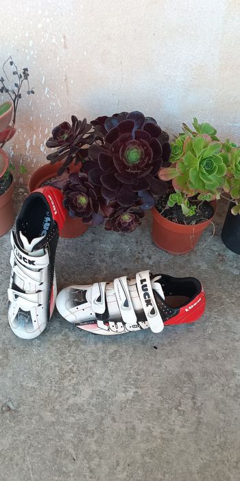 Sapatilha Btt n43
