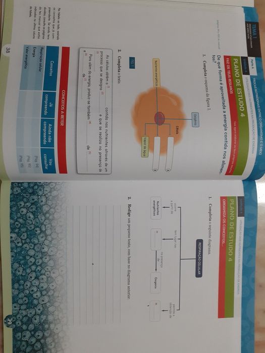 Manual e Caderno de Atividades Natura 6 - 6º ano Ciências