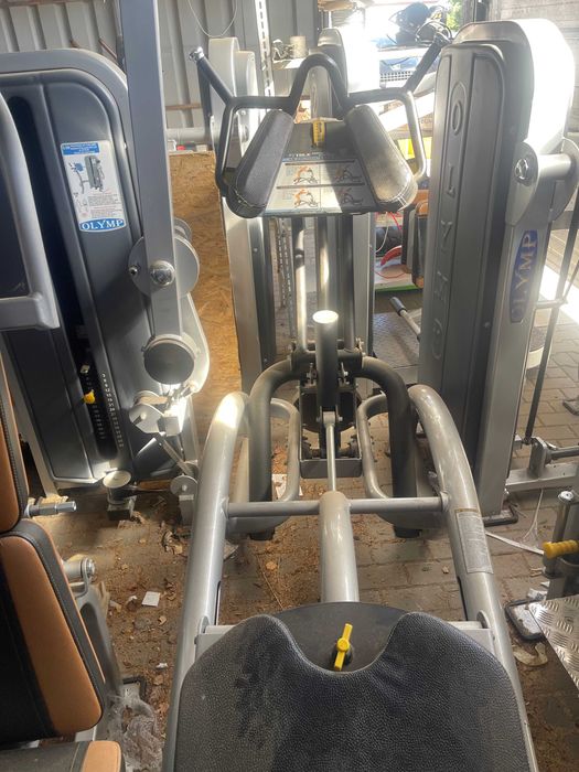Tru crunch/Back Row SC1010 composite True Fitness DARMOWA DOSTAWA