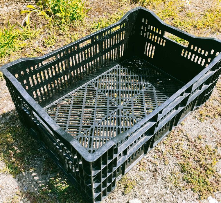 Caixas de arrumação