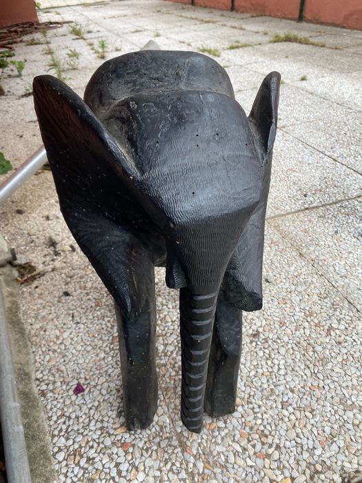 Elefante Africano antigo