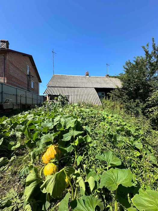 Продаж земельної ділянки із старим будинком  в с.Виннички.