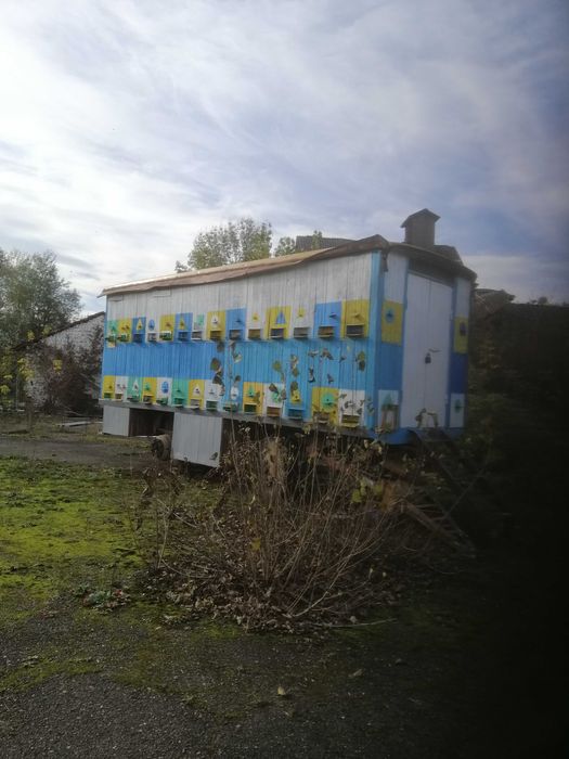 продам павільйон із бджолами