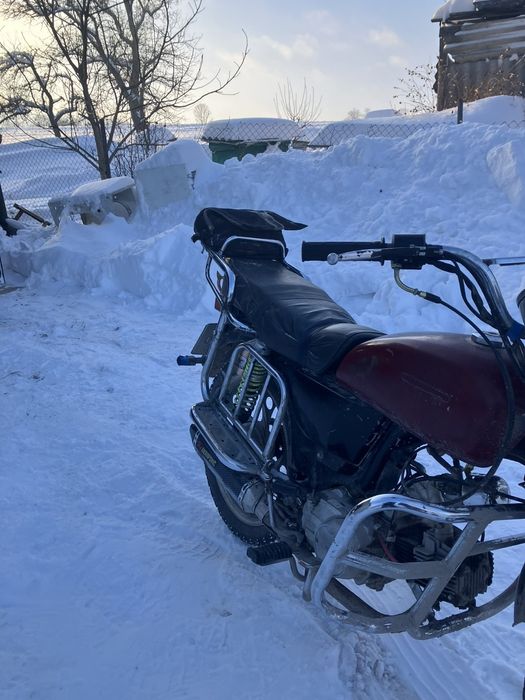 Продам альфа мустанг