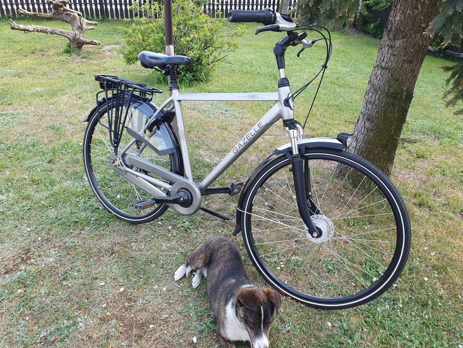 Gazelle Paris C7 + szary Matt rama 53cm rok 2024