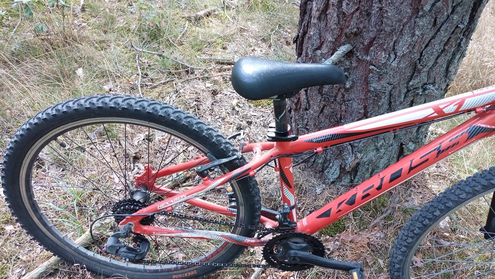 Rower uniwersalny 26"