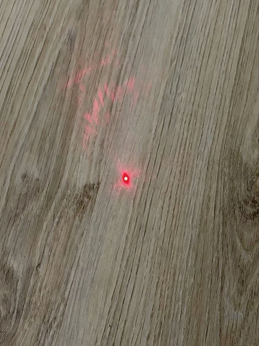 Ponteira LED para pets