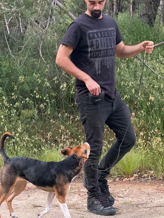 Dog Walking & Pet Sitting- passeios com Treino incluido