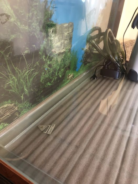 Акваріум на 200л