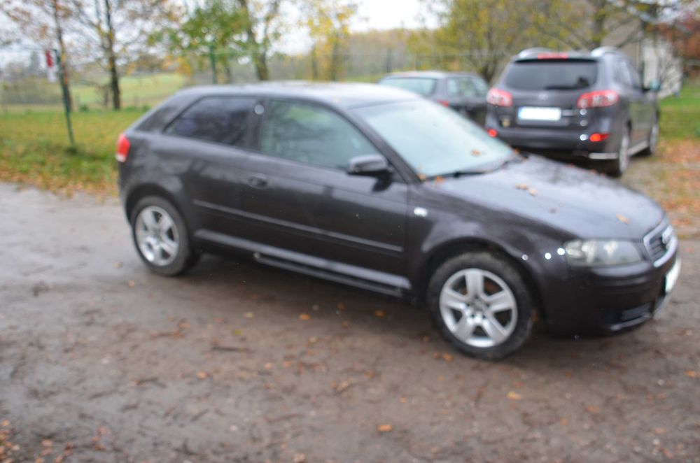 audi a3 8p  1,6 MPI  3D