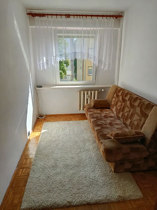 Zdjęcie 7
