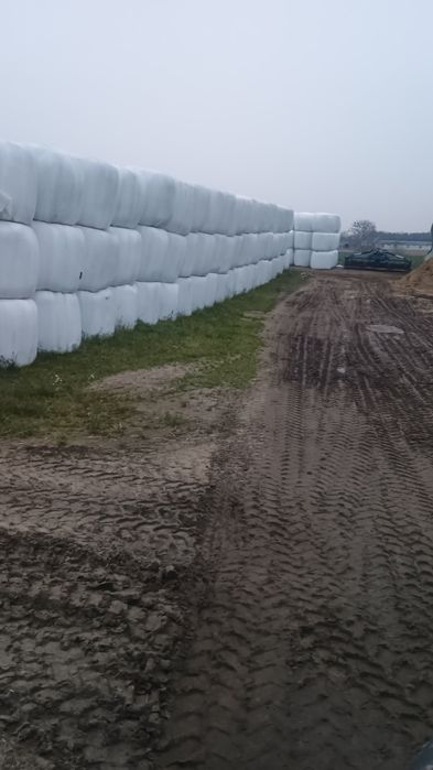 Sianokiszonka z traw sianych 2025!.