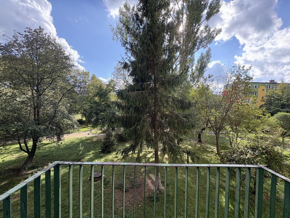 Zdjęcie 8