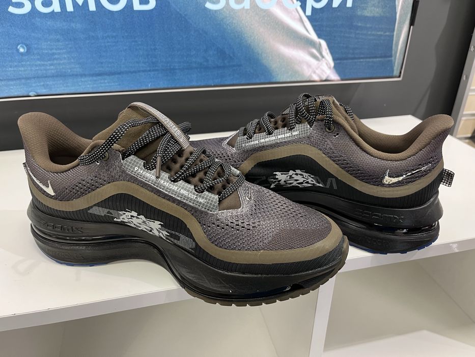 Кросівки Nike Pegasus Premium