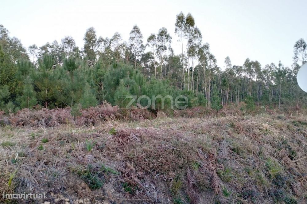 Terreno Rústico à Venda – Vila Nova de Anços 4.100m2