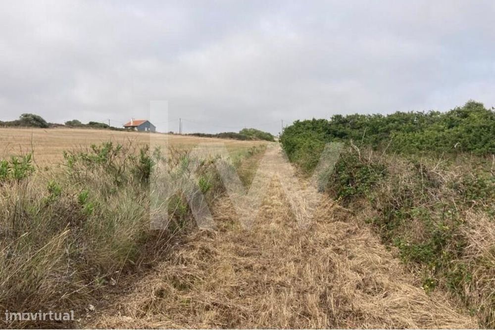 Terreno Agrícola - Assafora - Sintra — São João Das Lampas E Terrugem, Lisboa