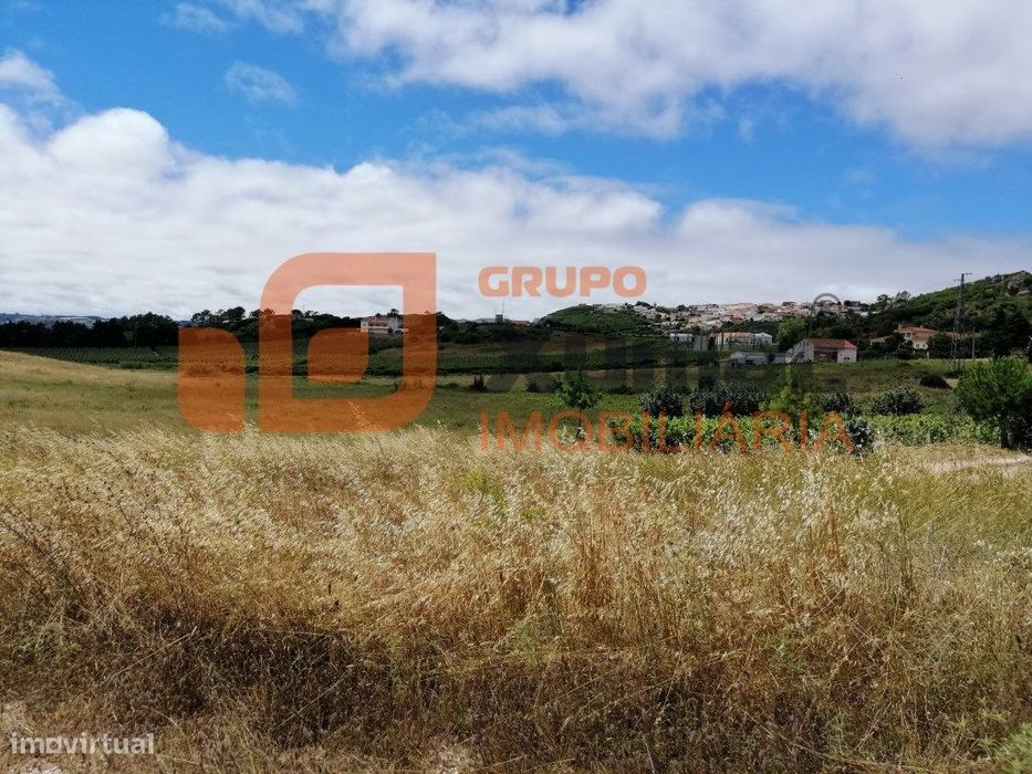 Terreno Rústico com quase 3 hct. plano- Zona de Óbidos! — Santa Maria, São Pedro E Sobral Da Lagoa, Leiria