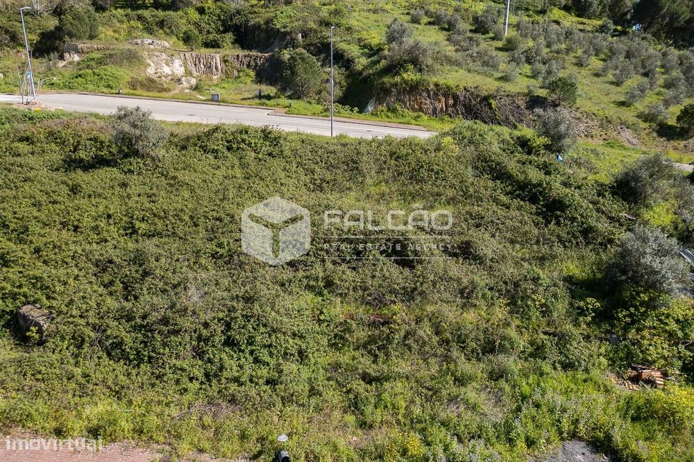 Lote de Terreno  Venda em Sé e São Lourenço,Portalegre