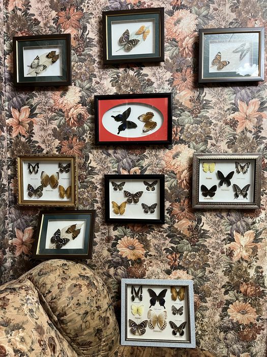 Картина/ картины