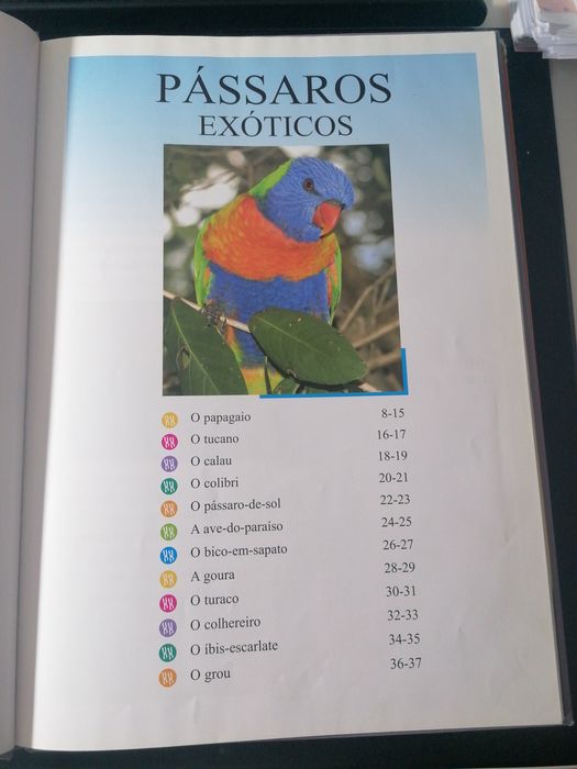 Conjunto de livros de O Mundo Fascinante dos Animais