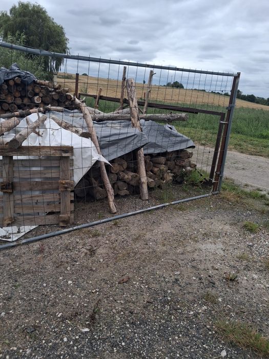 Drewno opalowe suche