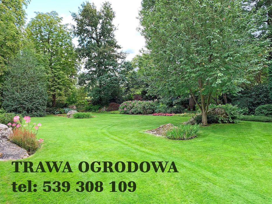 TANIO! Trawa ogrodowa - nasiona w workach