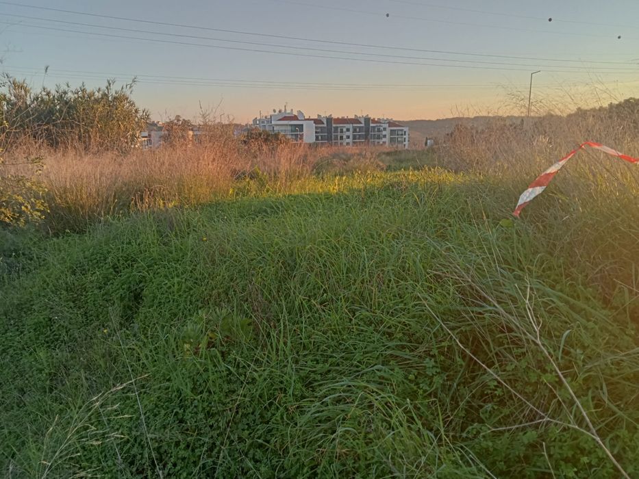 Limpeza de terrenos e corte de arvores e entre outras
