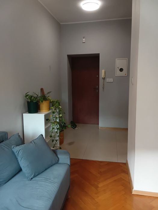 CENTRUM, Libelta, w bloku, STUDENCI