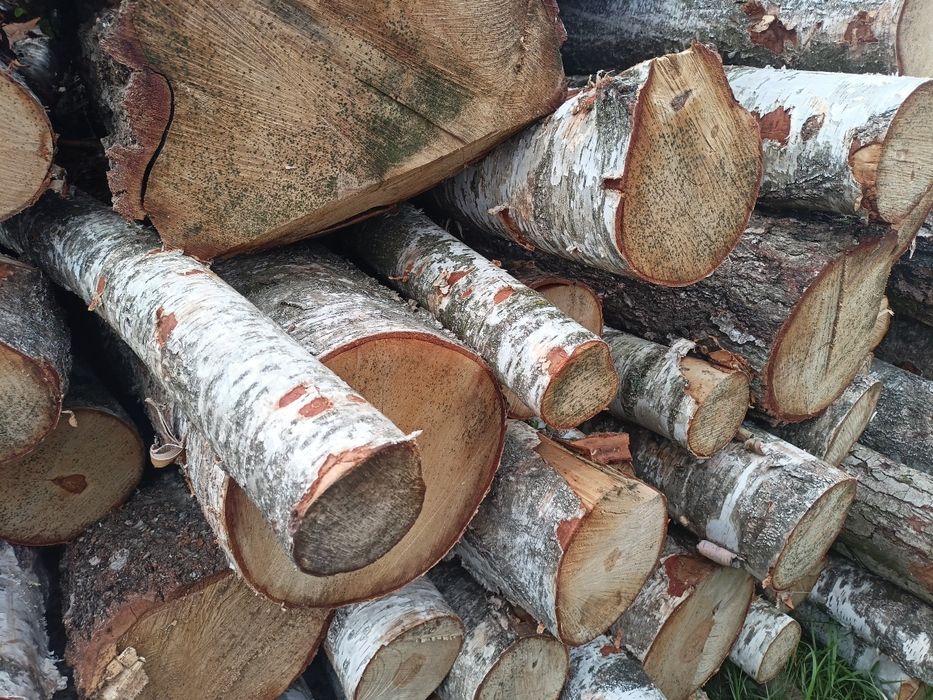 Drewno, Opałowe, Kominkowe