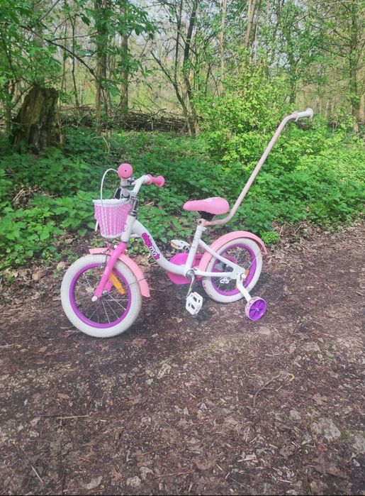 Rower chipmunk 14 cali