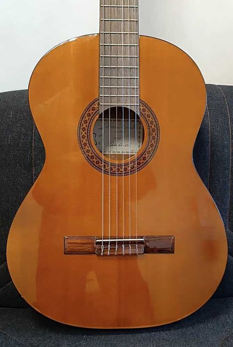 Guitarra Portuguesa APC 1C + Bag almofadado - (Solid Top)- Great Deal