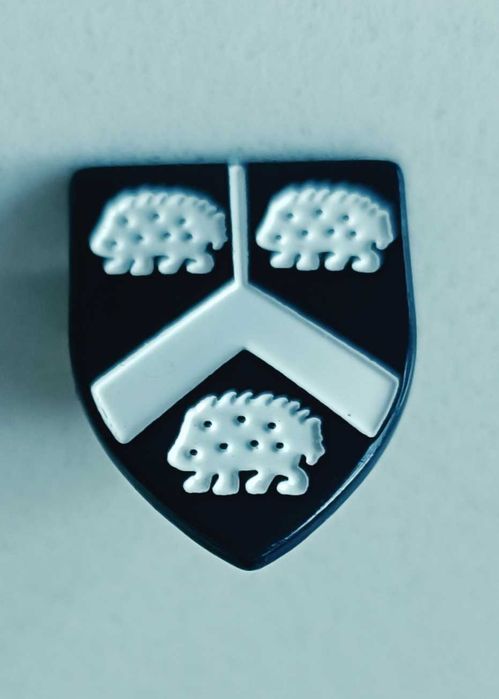 Vendo Pin's clássicos e raros