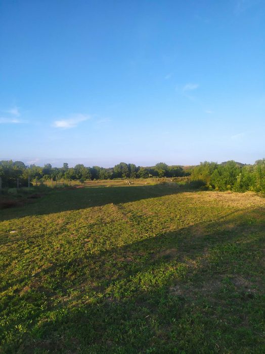 Dom – Łomża - Widok 4