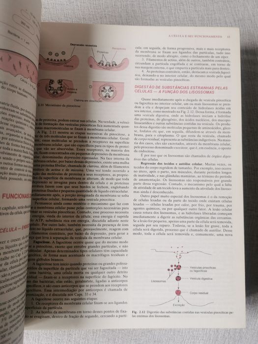 Tratado de Fisiologia Médica