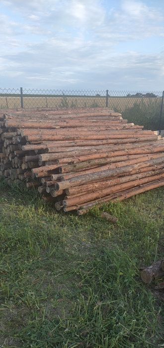 Sprzedam stemple  dł ok 3,25