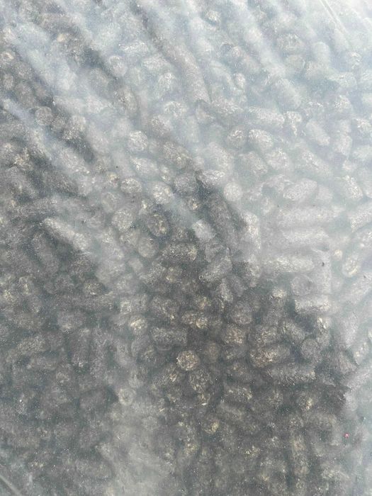 Pellet z łuski słonecznika