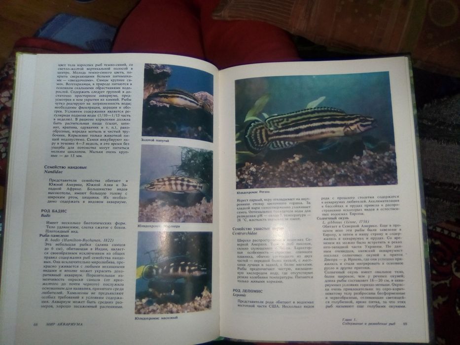 Книга "Мир аквариума" , автор Романишин , Мишин