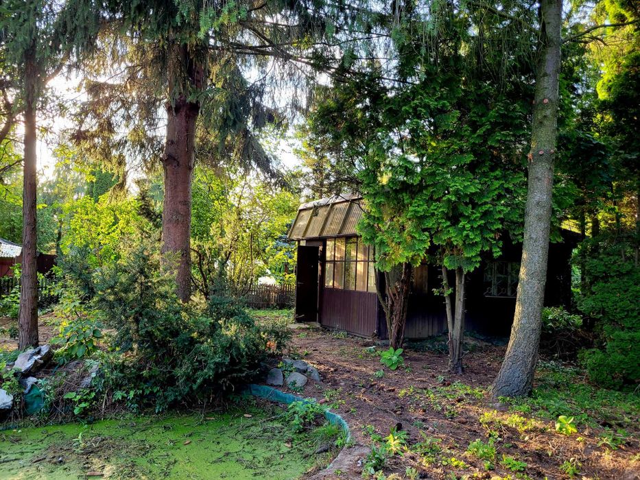 Działka ROD 500 m² Augustówka Mokotów z domkiem, starodrzew - Ansicht 4