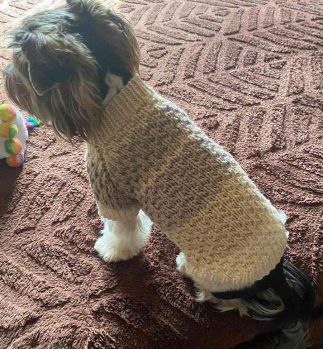 Вязані речі для собак