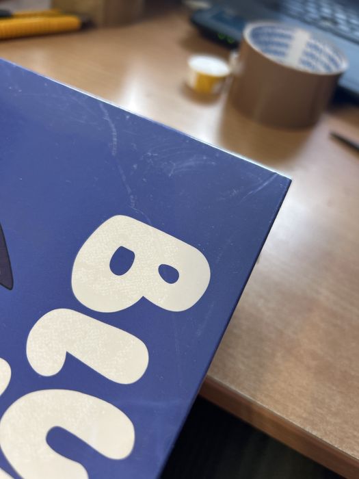 Outlet BLUEY Big Fun box of books 20książek