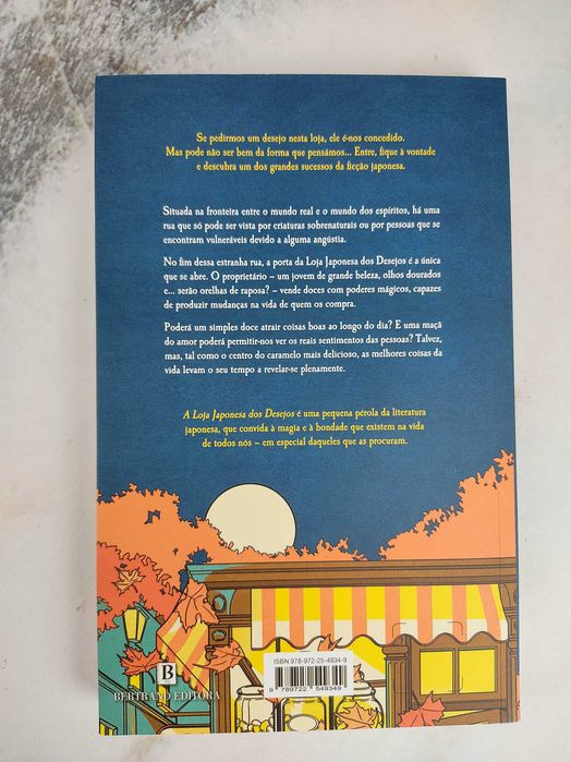 Novo Livro - A Loja Japonesa dos Desejos de Hiyoko Kurisu