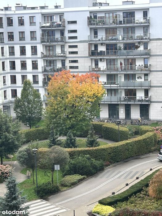 Apartament 3-pokojowy na Żoliborzu