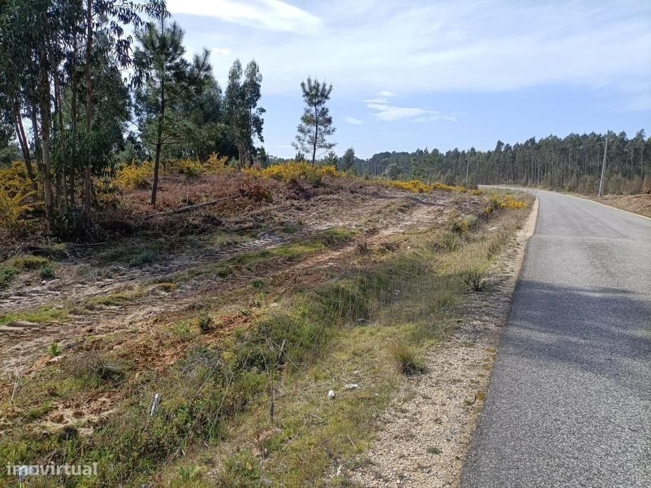 Terreno Serra do Bouro-Caldas da Rainha