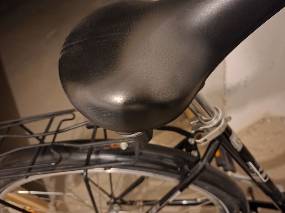 Pegasus Tour Bike Sensation