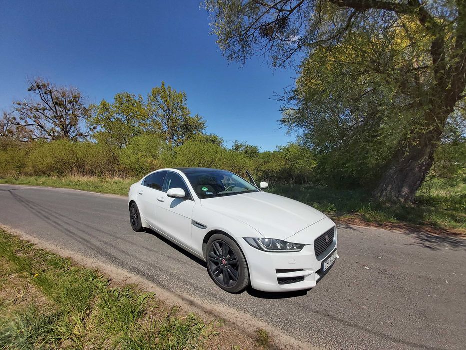 Jaguar XE Pure Salon Polska stan idealny